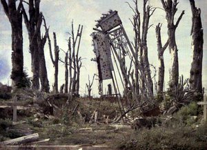 La porte du château et les arbres endommagés par le feu d